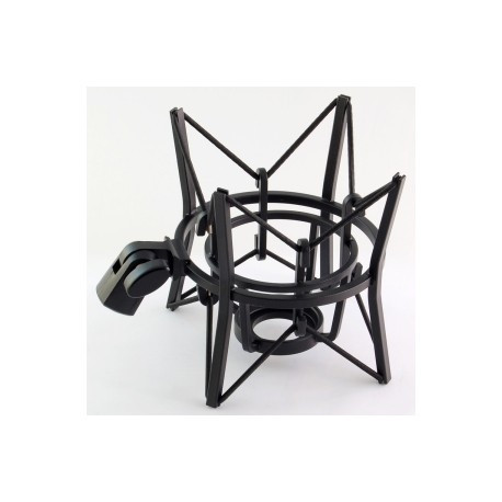  Microfon Studio AKG P220