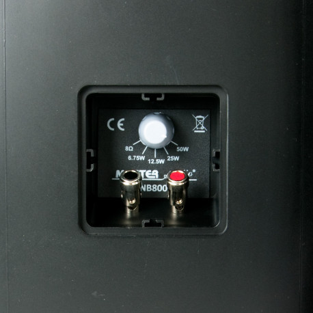 Pereche boxe 100V de exterior Master Audio NB800TB