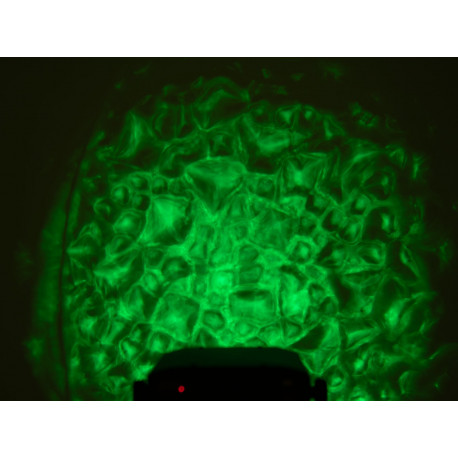 Efect lumini ¨apa¨ cu LED, Eurolite LED WF-30