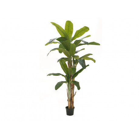 Bananier artificial 240 cm, EuroPalms 82509541