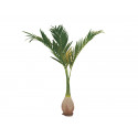 Palmier Phoenix artificial 240 cm, EuroPalms 82511353