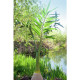 Palmier Phoenix artificial 240 cm, EuroPalms 82511353