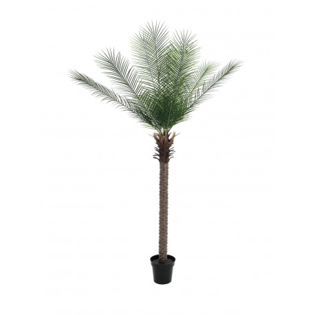 Palmier Phoenix deluxe artificial 220 cm, EuroPalms 82509722