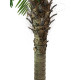 Palmier Phoenix luxor artificial 300 cm, EuroPalms 82510723