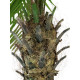 Palmier Phoenix luxor artificial 300 cm, EuroPalms 82510723