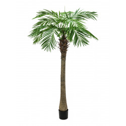 Palmier Phoenix luxor artificial 210 cm, EuroPalms 82510721