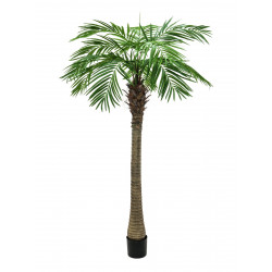 Palmier Phoenix luxor artificial 240 cm, EuroPalms 82510722