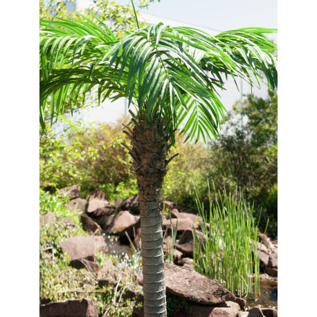Palmier Phoenix luxor artificial 240 cm, EuroPalms 82510722
