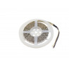 Banda LED 5m RGB/WW/CW 24V, Eurolite LED Strip 300 5m 5050 RGB/WW/CW 24V