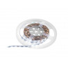 Banda LED 5m 5700K 12V, Eurolite LED Strip 300 5m 3528 5700K 12V