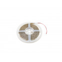 Banda LED IP 65 5m 4000K 24V, Eurolite LED IP Strip 600 5m 2835 4000K 24V