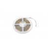 Banda LED IP 65 5m 4000K 24V, Eurolite LED IP Strip 600 5m 2835 4000K 24V