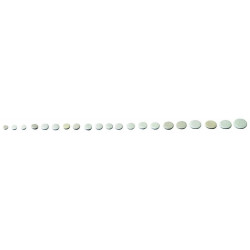 50528