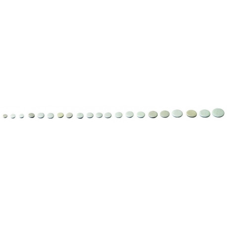 50528