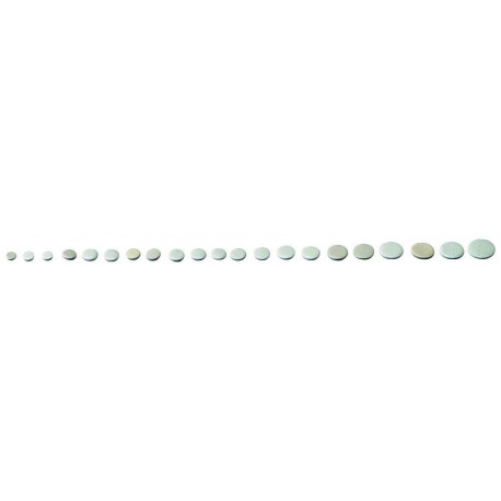 50556
