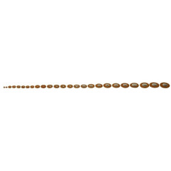 50561