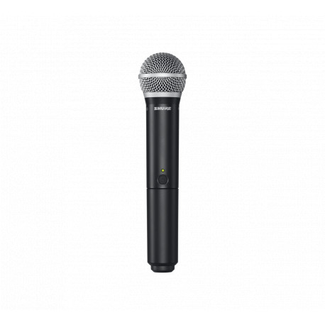 Set 2 microfoane wireless Shure BLX288E/PG58
